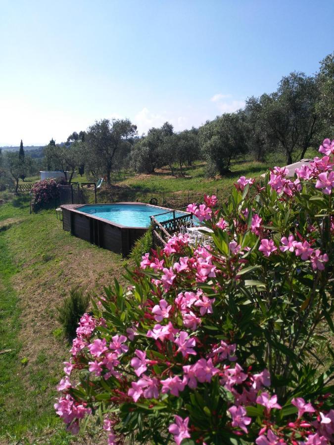 Villa Casale Camaiore Capannori Exterior foto